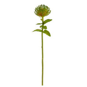 24" Pincushion Artificial Flower (Set of 6)